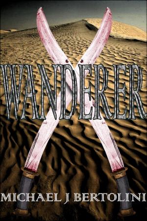 bigCover of the book Wanderer by 
