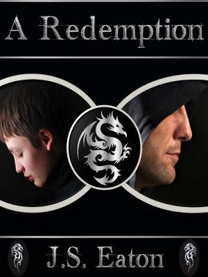 bigCover of the book A Redemption by 