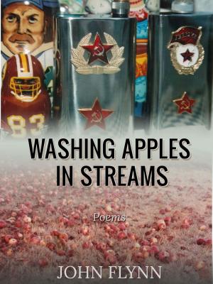 Cover of the book Washing Apples In Streams by Monique McMorgan