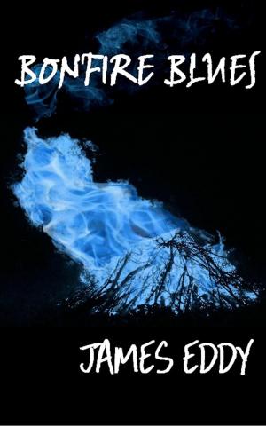 Book cover of Bonfire Blues