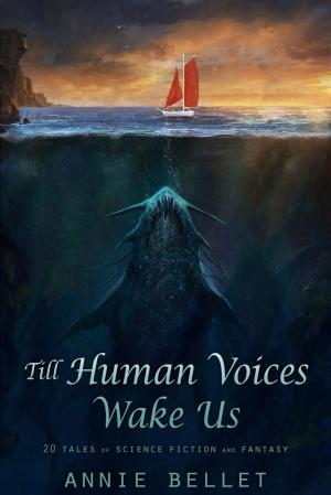 Cover of the book Till Human Voices Wake Us by Kel Sandhu