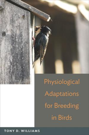 Cover of the book Physiological Adaptations for Breeding in Birds by Beth Akers, Matthew M. Chingos