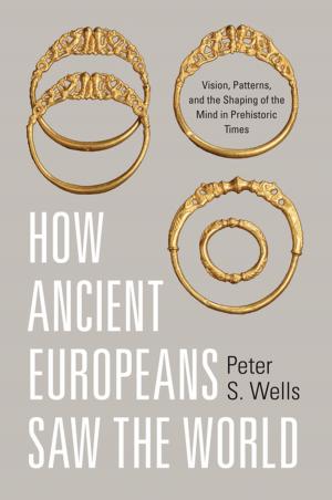 Cover of the book How Ancient Europeans Saw the World by Duncan Kelly