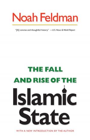 Cover of the book The Fall and Rise of the Islamic State by David A. Baldwin