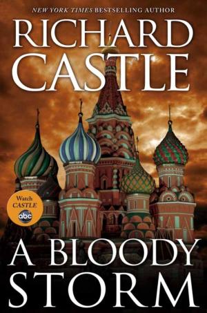 Cover of the book A Bloody Storm by Justina Ireland