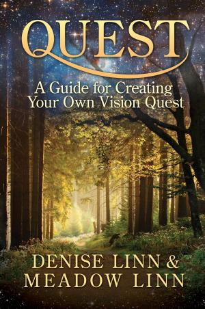 Cover of the book Quest by Justin Cline Macy, Kim Macy