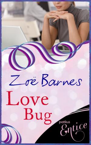 Cover of the book Love Bug by Zoe Barnes