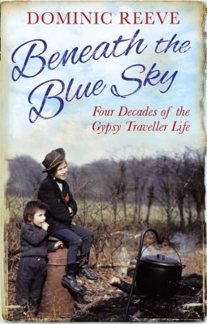 bigCover of the book Beneath the Blue Sky by 