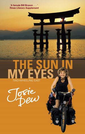 Book cover of The Sun In My Eyes