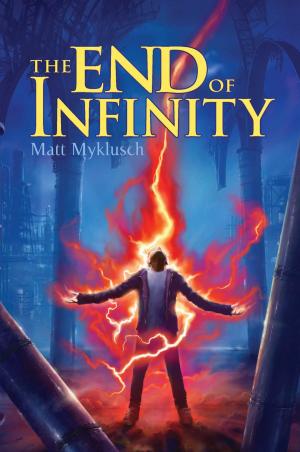 Cover of the book The End of Infinity by Sarah Darer Littman