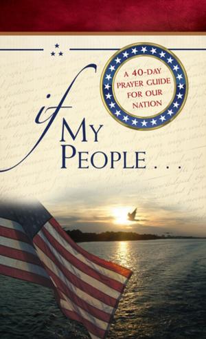 Cover of the book If My People . . . by Nikki Rosen