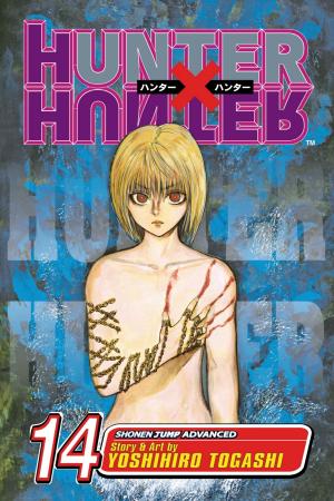 Cover of the book Hunter x Hunter, Vol. 14 by Kaori Yuki