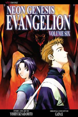 Book cover of Neon Genesis Evangelion, Vol. 6 (2nd Edition)