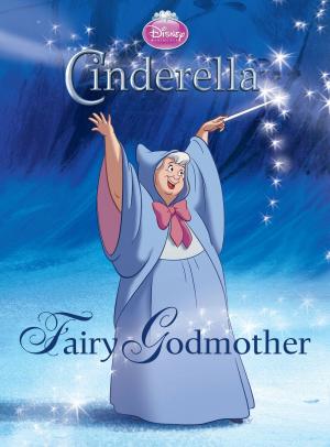 Cover of the book Cinderella: Fairy Godmother by Adam Rex