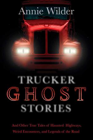 Cover of the book Trucker Ghost Stories by Deborah Blake