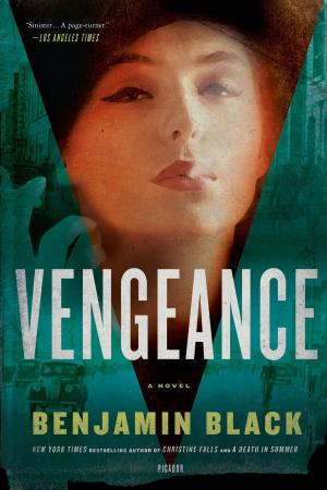 Cover of the book Vengeance by Kevin Barker