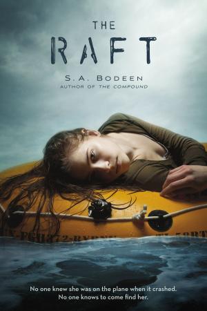 Cover of the book The Raft by Sally Odgers