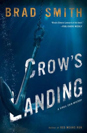 Cover of the book Crow's Landing by Amanda Bennett