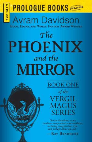 Book cover of The Phoenix and the Mirror