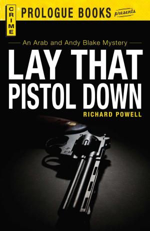 Cover of the book Lay that Pistol Down by Kari Schoening Diehl