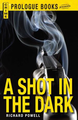 Cover of the book A Shot in the Dark by Sherri Linsenbach