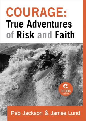 Book cover of Courage: True Adventures of Risk and Faith (Ebook Shorts)