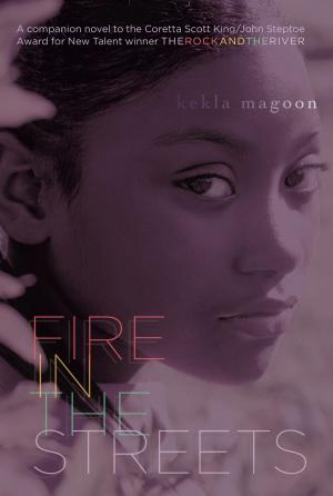Cover of the book Fire in the Streets by Paula Harrison