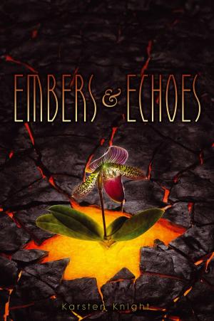 Cover of the book Embers & Echoes by Blake Nemelka, Bo Nemelka