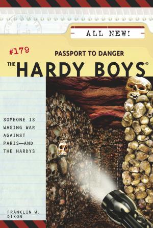 Cover of the book Passport to Danger by Frank Rodgers