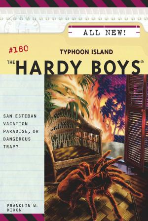 Cover of the book Typhoon Island by Carolyn Keene