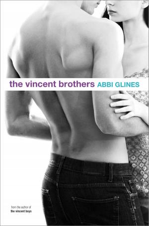 Cover of the book The Vincent Brothers by Elizabeth Scott, Lisa Fyfe