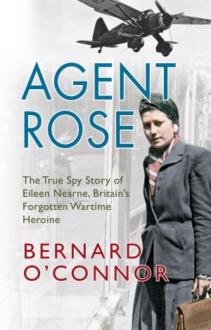 Cover of the book Agent Rose by Robert J. Parker