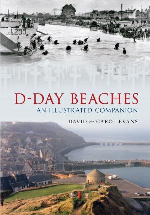 Cover of the book D-Day Beaches by Dilip Sarkar