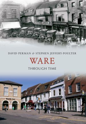 Cover of the book Ware Through Time by Tony A. J. Hewitt