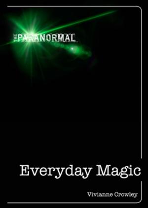 Cover of the book Everyday Magic by David C. Harper