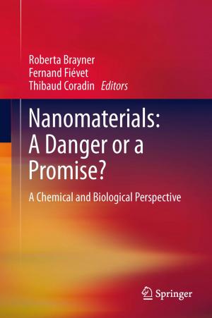 Cover of the book Nanomaterials: A Danger or a Promise? by Patrik Thollander, Jenny Palm