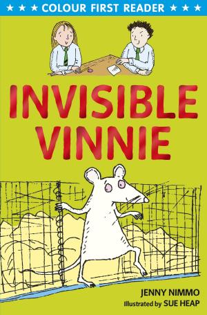 Cover of the book Invisible Vinnie by Linda Newbery