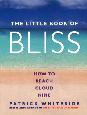 bigCover of the book The Little Book Of Bliss by 