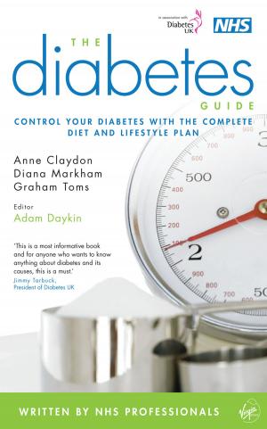 Cover of the book The Diabetes Guide by Paul Flynn