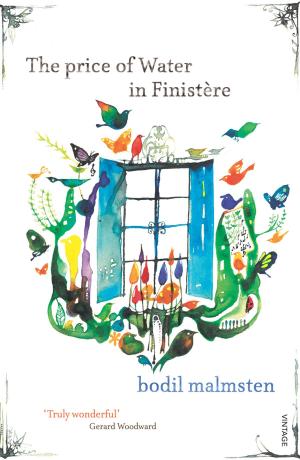 Cover of the book The Price Of Water In Finistère by Alexandra Zelman-Doring