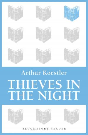 Cover of the book Thieves in the Night by Jon Kerstetter