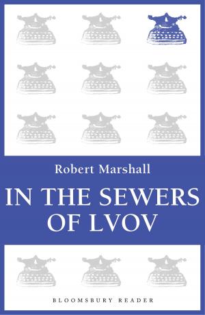 Cover of the book In the Sewers of Lvov by Dr J. Adam Carter, Professor Ted Poston