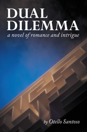 Cover of the book Dual Dilemma by Matt Deisen