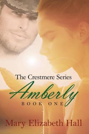 Cover of the book Amberly by Twanita S. Lassiter
