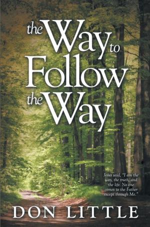Cover of the book The Way to Follow the Way by David Lynn