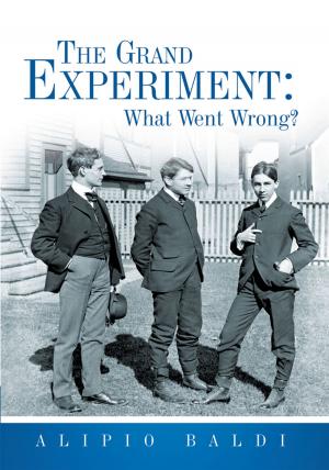 Cover of the book The Grand Experiment: What Went Wrong? by Ronald Joseph Schinderle