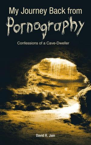 Cover of the book My Journey Back from Pornography by John David Haffenden