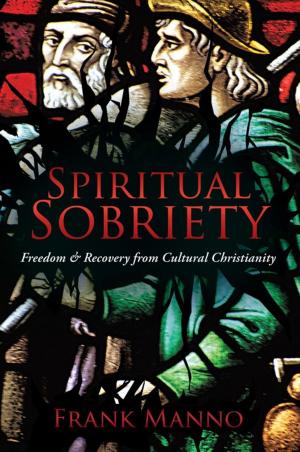 Cover of the book Spiritual Sobriety by Veronique Strohbach