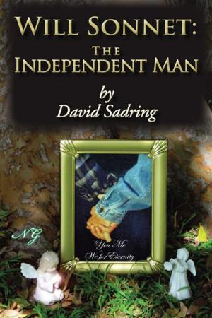 bigCover of the book Will Sonnet: the Independent Man by 
