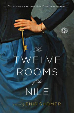 bigCover of the book The Twelve Rooms of the Nile by 
